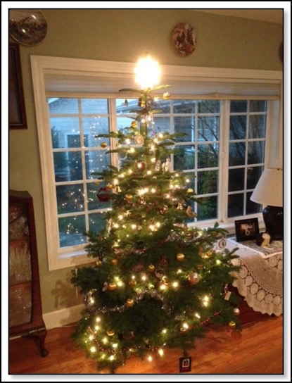 2014-christmas-tree-12-11-14