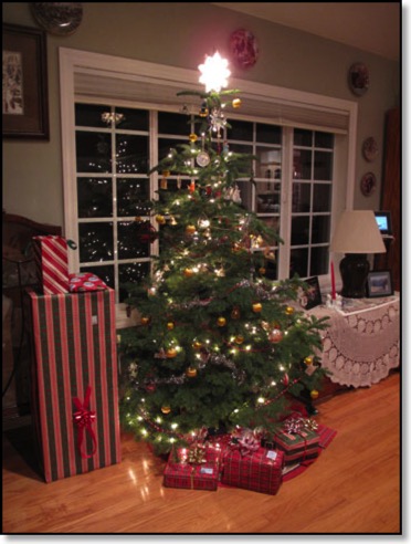 2014-Christmas-tree-presents