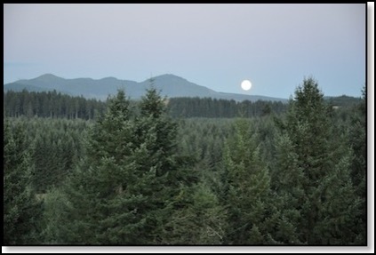 blue-moon-nikon-top-8-31-12