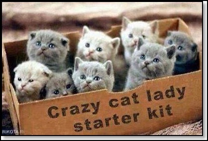 crazy_cat_lady_box-8-3-14