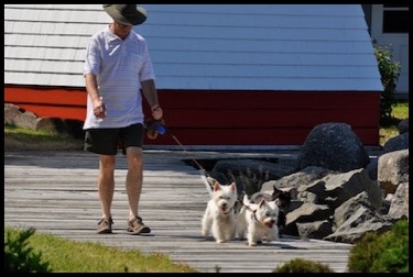 Dogs-and-Annapolis-Royal-second-7-3-12