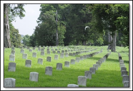 vicksburggraveyard-7-26-14