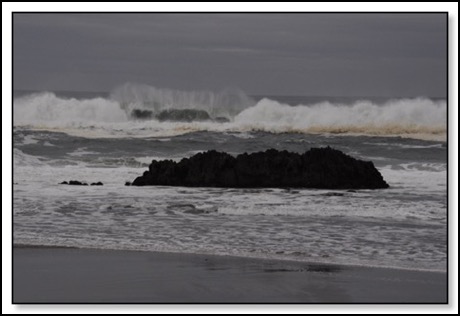 wave-mullet-12-17-14